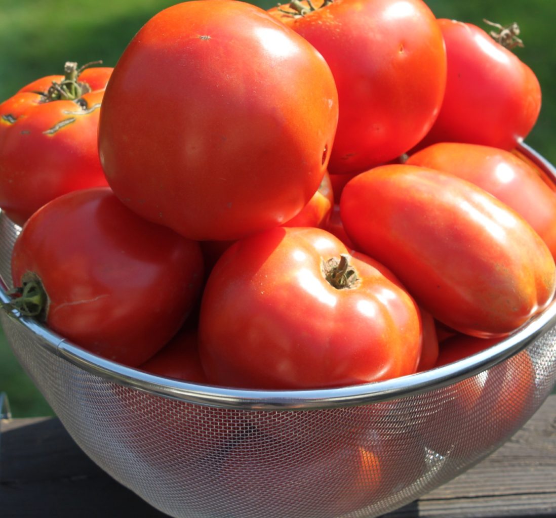 heirloom tomatoes