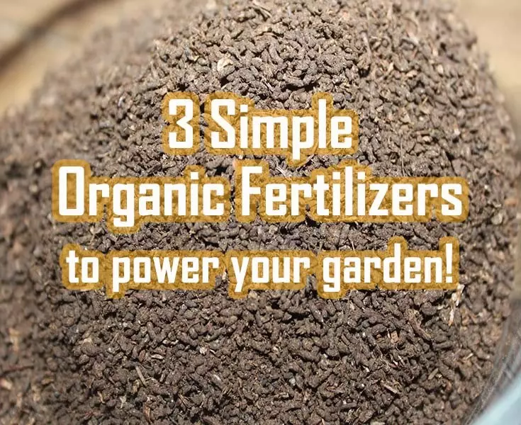 organic fertilizers